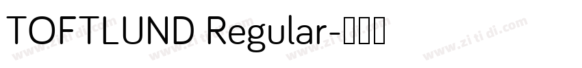 TOFTLUND Regular字体转换
